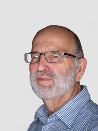 prof. zw. hab. inż. <br> Henryk Krawczyk
