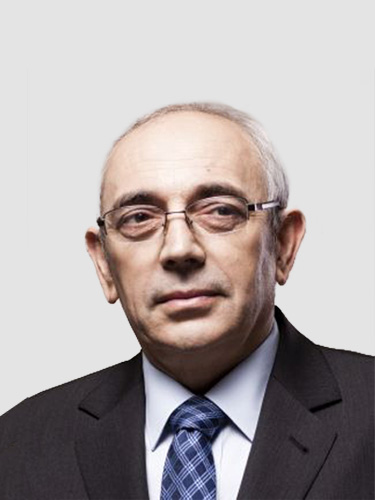 prof. dr hab. inż. <br>Tadeusz Więckowski
