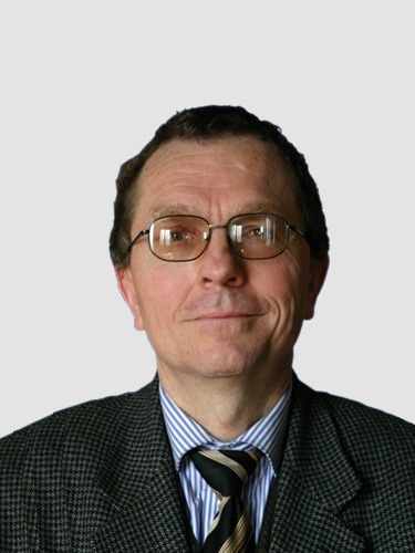 prof. dr hab. inż. <br> Roman Wyrzykowski